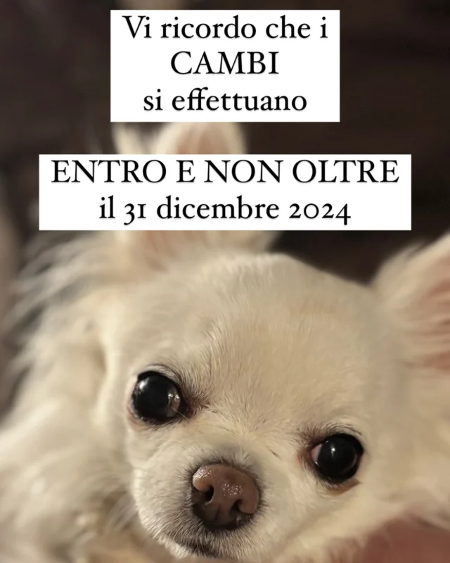 Avete ricevuto un regalo dalla taglia errata ?? Che non vi piaceva?? O semplicemente non gradito ?? Vi ricordo che i cambi si possono effettuare ENTRO E NON OLTRE IL 31 dicembre 2024 #cambi #natale #christmas #tagliaerrata #cambiocapo #ilglicinepavia #ilglicineaddosso